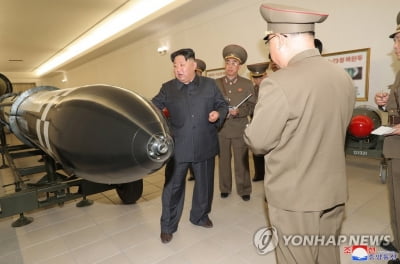 "국민 56.5%, 북핵 위협 등 이유로 자체 핵무장 찬성"[리얼미터]