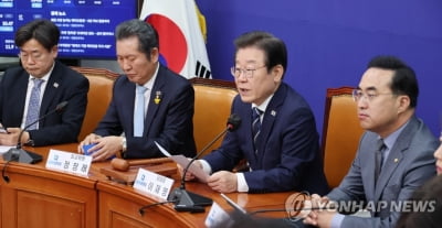  이재명 "'친구 아니면 적' 이분법 외교전 나서면 안돼"