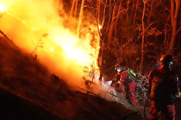 산림청 공중진화대원들이 9일 경남 합천군 용주면에서 발생한 산불을 잡기 위해 밤새 진화 작업을 하고 있다.(사진=뉴스1)