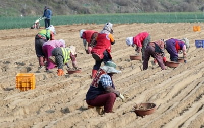 농부 절반은 65세 이상…1억 이상 버는 농가도 감소