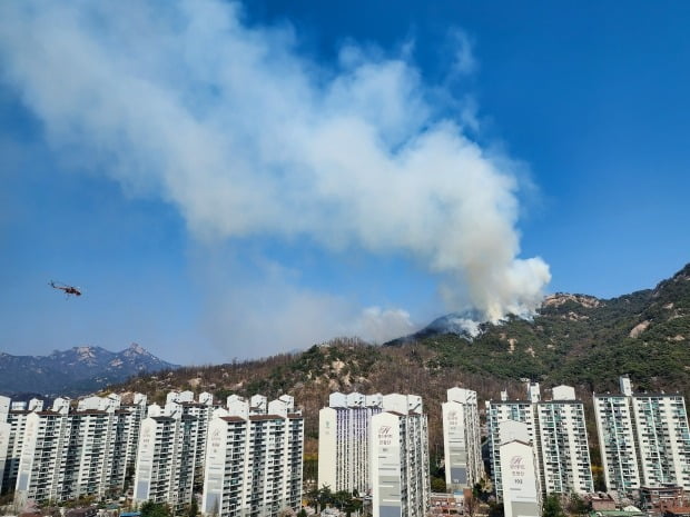 소방당국은 2일 인왕산 산불과 관련, 대응 2단계를 발령하고 헬기 11대를 동원해 산불 진화작업을 벌이고 있으며, 진화율은 현재 70~80% 정도라고 밝혔다. /사진=뉴스1