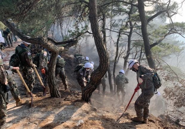 2일 오후 화재가 발생한 서울 종로구 인왕산에서 군 장병들이 진화 작업을 하고 있다. /사진=뉴스1