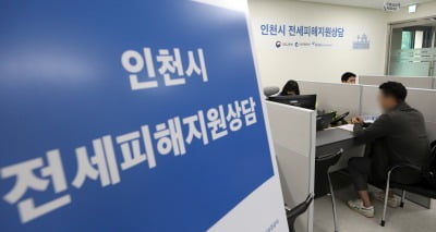 금감원 "'전세사기' 경매기일 도래 38건 중 37건 연기"