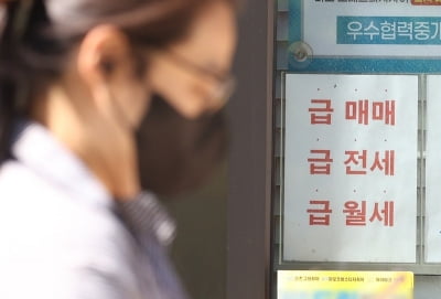 "전셋집 내놓으면 다 사기꾼인가요?"…서러운 집주인들 [돈앤톡]