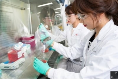 [단독]글랜우드PE, LG화학 진단사업 매각 우협 선정