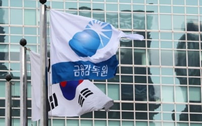 금감원 "최근 주가 급등락 종목, 무차입 공매도 집중 점검"