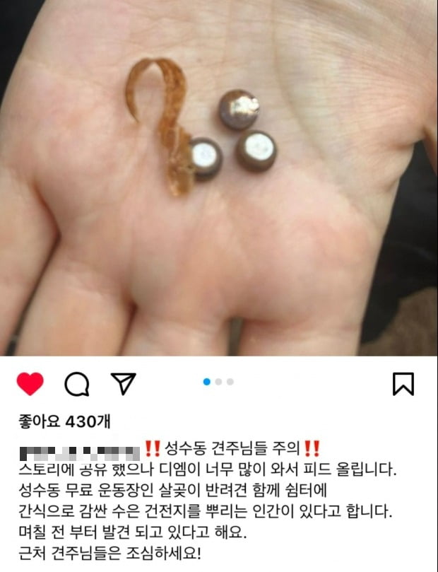 서울 성동구에 있는 ‘살곶이 반려견 함께 쉼터’에서 발견된 수은 건전지로 추정되는 물체 사진=온라인 커뮤니티 캡처