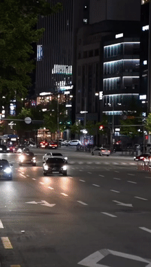 전기차의 초반 가속은 웬만한 내연기관차를 압도한다. 서울 시내 한 도로에서 람보르기니 우라칸을 제치고 달려가는 테슬라 모델Y. 모델Y 퍼포먼스 모델의 제로백은 3.7초다. /사진=노량진개미 유튜브