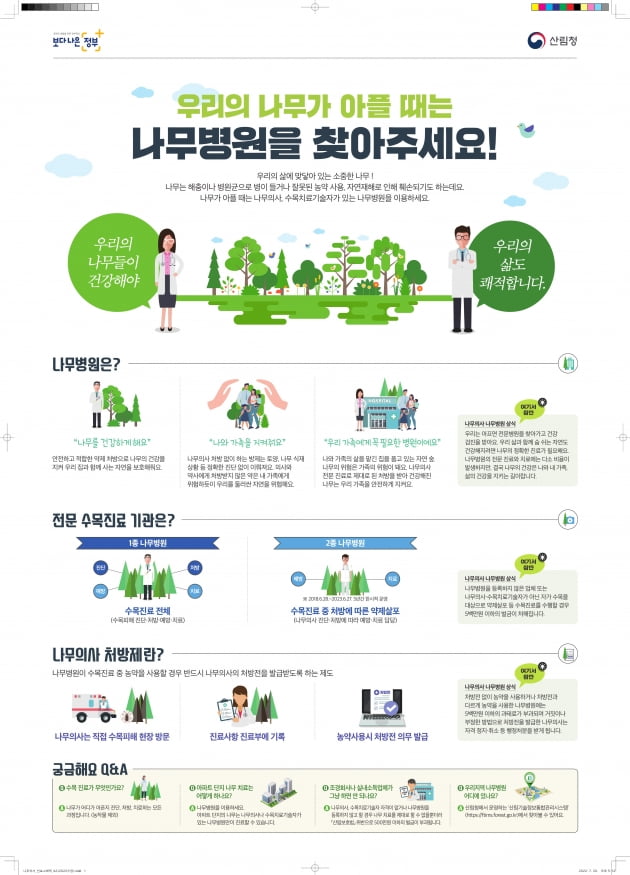 산림청, 다음 달 말까지 수목 진료 위반 특별단속