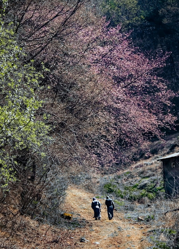 묘법사_충남 예산