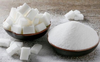 설탕주 줄줄이 '상한가'…이상기후 공급망 우려에 가격 급등