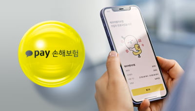 교보생명, 카카오페이손보 인수 추진