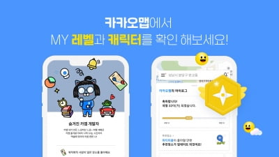 30번 활동하면 골드배지 획득…카카오맵 '레벨 서비스' 도입