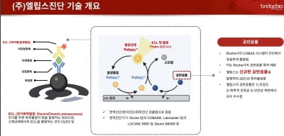 브릿지온라인 카지노 합법 사이트오 "혁신 진단기업 엘립스진단 인수…1년 내 성과 기대"