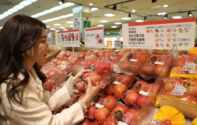 롯데마트와 롯데슈퍼는 AI 선별 기술로 고른 'AI 선별 영주 소백산 GAP 사과'를 출시했다.  사진=롯데쇼핑
