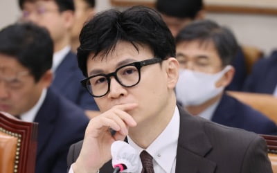 김종인 "한동훈은 이미 정치인…정치나 변호사 2가지 길뿐"