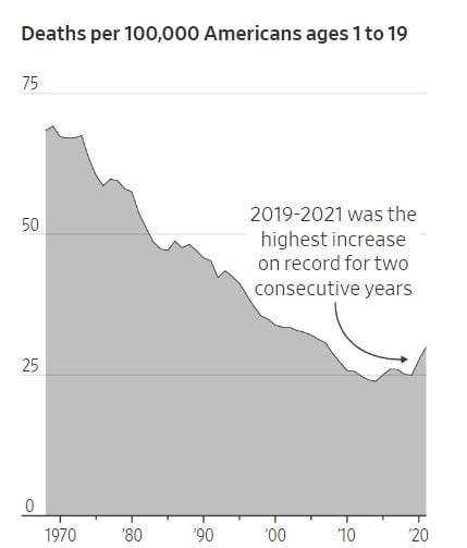 미국 1~19세 사망률. 사진=WSJ