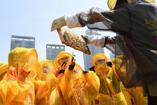 포스코이앤씨, 어린이와 함께 하는 꿀벌 축제 'Happy 벌's 데이' 열어