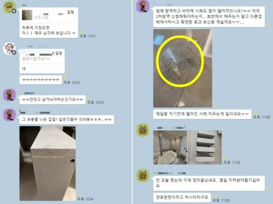 입주민들이 혹파리 집안 내 혹파리 출몰과 관련해 어려움을 호소하는 모습. /사진=입주민 제공