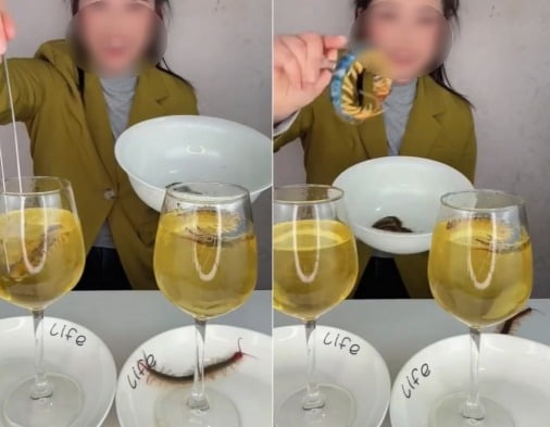 지난달 틱톡(Tiktok)에 지네를 즉석에서 튀겨 먹는 먹방을 올려 인기 영상 순위에 오른 중국 틱토커. /사진=틱톡 캡처