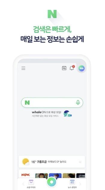 사진=네이버 앱 캡처