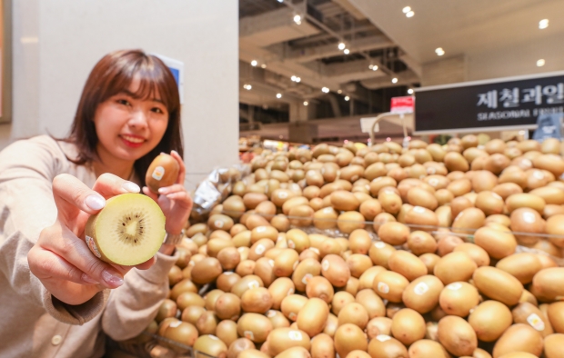 현대그린푸드, 제철 맞은 달콤한 골드키위 맛보세요~!