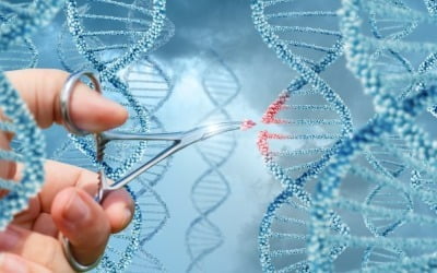 툴젠, 美 유전자세포치료학회서 유전자가위 관련 기술 발표