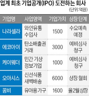 "업계 1호는 내 것" IPO 나선 新업종 기업들