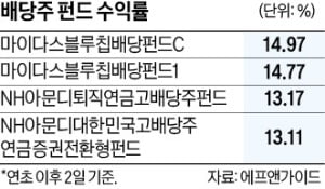 올들어 수익률 20% '고공행진'…배당주펀드 투자해볼까