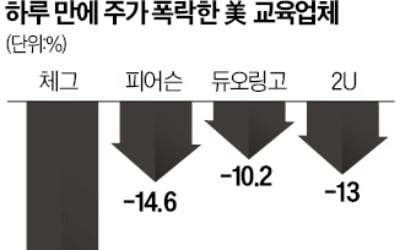 "챗GPT에 학생들 뺏겼다"…美 온라인교육株 '반토막'