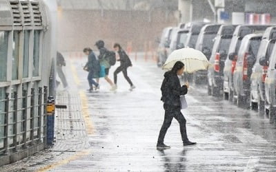 한라산 1000㎜ '물폭탄'…제주 항공편 이틀째 차질