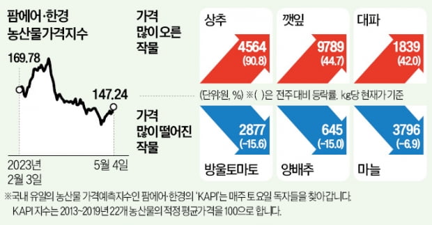 황금연휴에 늘어난 육류 소비…상추 90%·깻잎 44% 동반 상승