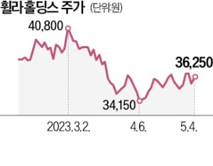 저가 매수·경영권 강화…'두 토끼' 잡는 패션기업 오너