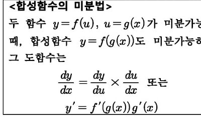  합성함수의 미분법에서 ∆u=0일 때는?