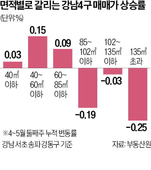 서울 집값, 강남 소형이 '끌고' 동작 대형이 '밀고'