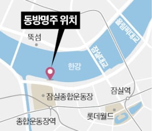 정보당국, 잠실 동방명주 '中 비밀 경찰서'로 잠정 결론