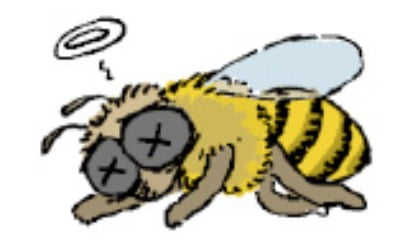 꿀벌 본 지 오래됐네…올해 160억 마리 실종