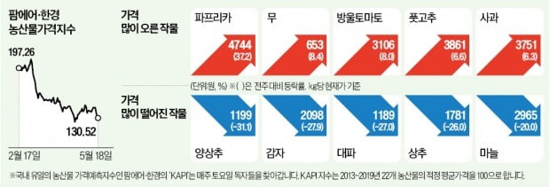 큰 일교차에 썩어버린 파프리카…1주일새 37% 올라