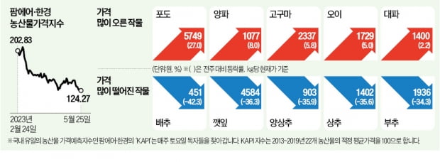 오렌지 대신 사과 찾는 소비자…사과값 50% 급등