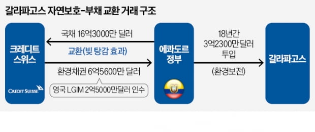 "바다거북 지켜라"…글로벌 운용사 꽂힌 '갈라파고스 채권'