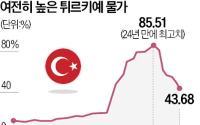 에르도안, 금리인하 정책 포기?…당선직후 '親시장 경제통' 소환
