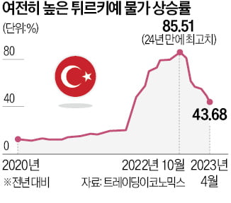 에르도안, 금리인하 정책 포기?…당선직후 '親시장 경제통' 소환