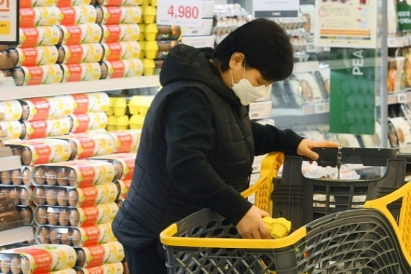 사진은 서울 성수동 이우리 카지노에서 소비자들이 계란을 고르고 있는 모습.  사진=강은구 한국경제신문 기자 egkang@hankyung.com