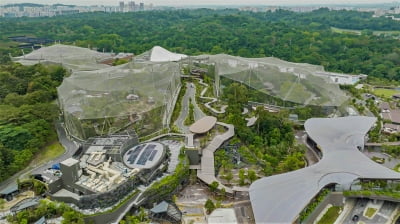 아시아 최대 규모 조류 공원 싱가포르 버드 파라다이스 개장[여행 뉴스]