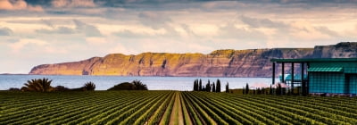 뉴질랜드 혹스베이, 12번째 세계 와인 수도로 선정[김은아의 여행 뉴스]