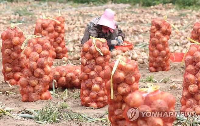 외국인 계절 근로자 급여 절반 가로챈 전직 공무원 검찰 송치