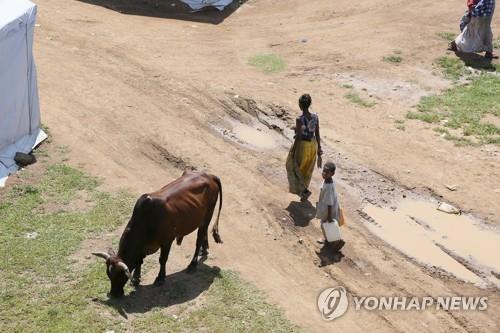 에티오피아 내전 와중에 국제사회 식량원조 중단