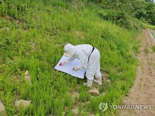 강원 SFTS 발생률 전국 최고…"잔디밭·풀숲 주의해야"