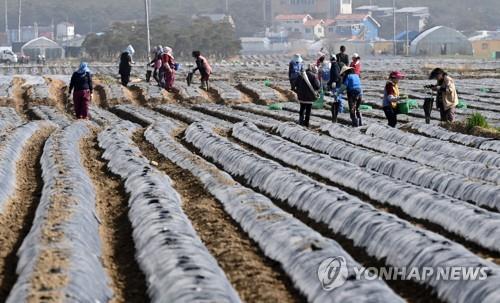 강원 지역 영농조합은 줄고, 농업회사 증가한 이유는?