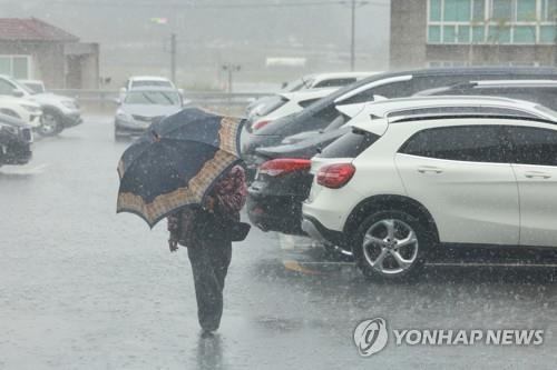 충북 청주 80.5㎜ 많은 비…5월 하루 최고 강수 기록